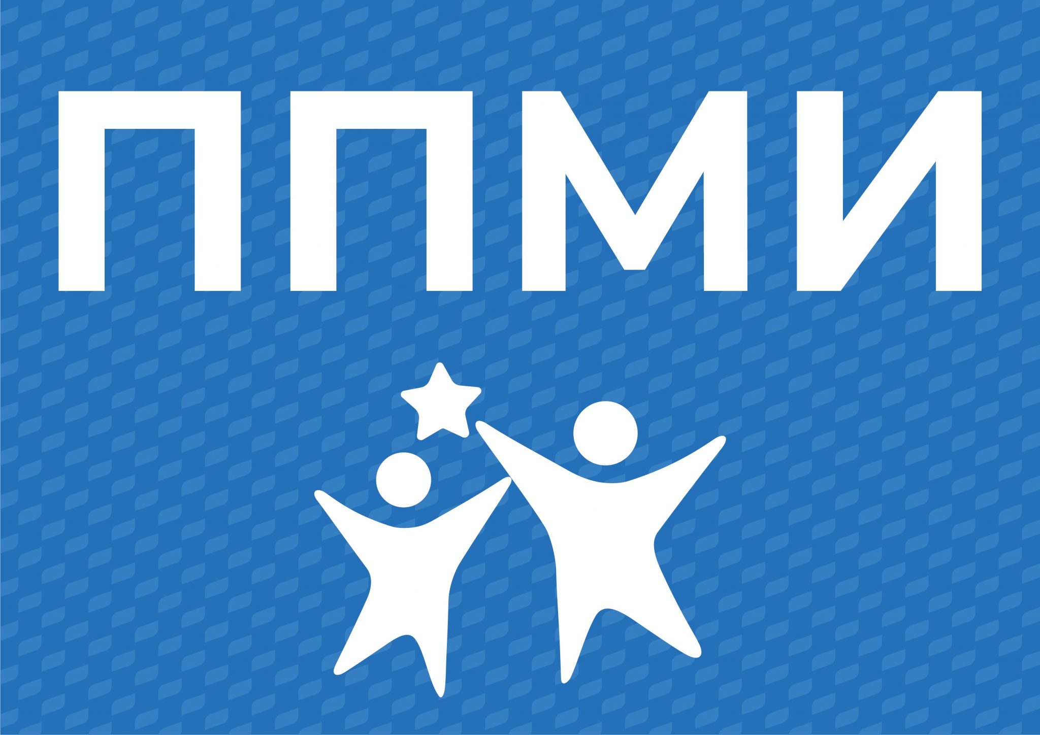 Участие в программе местных инициатив.